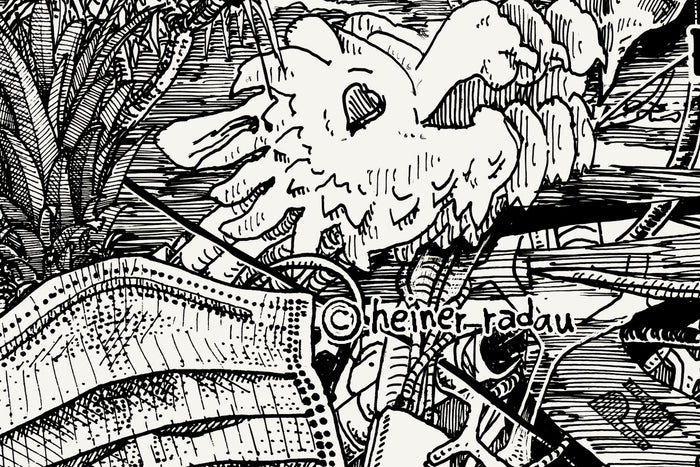 Close-up of the Hanoi ink drawing with the hand-written © heiner radau signature in the lower right corner